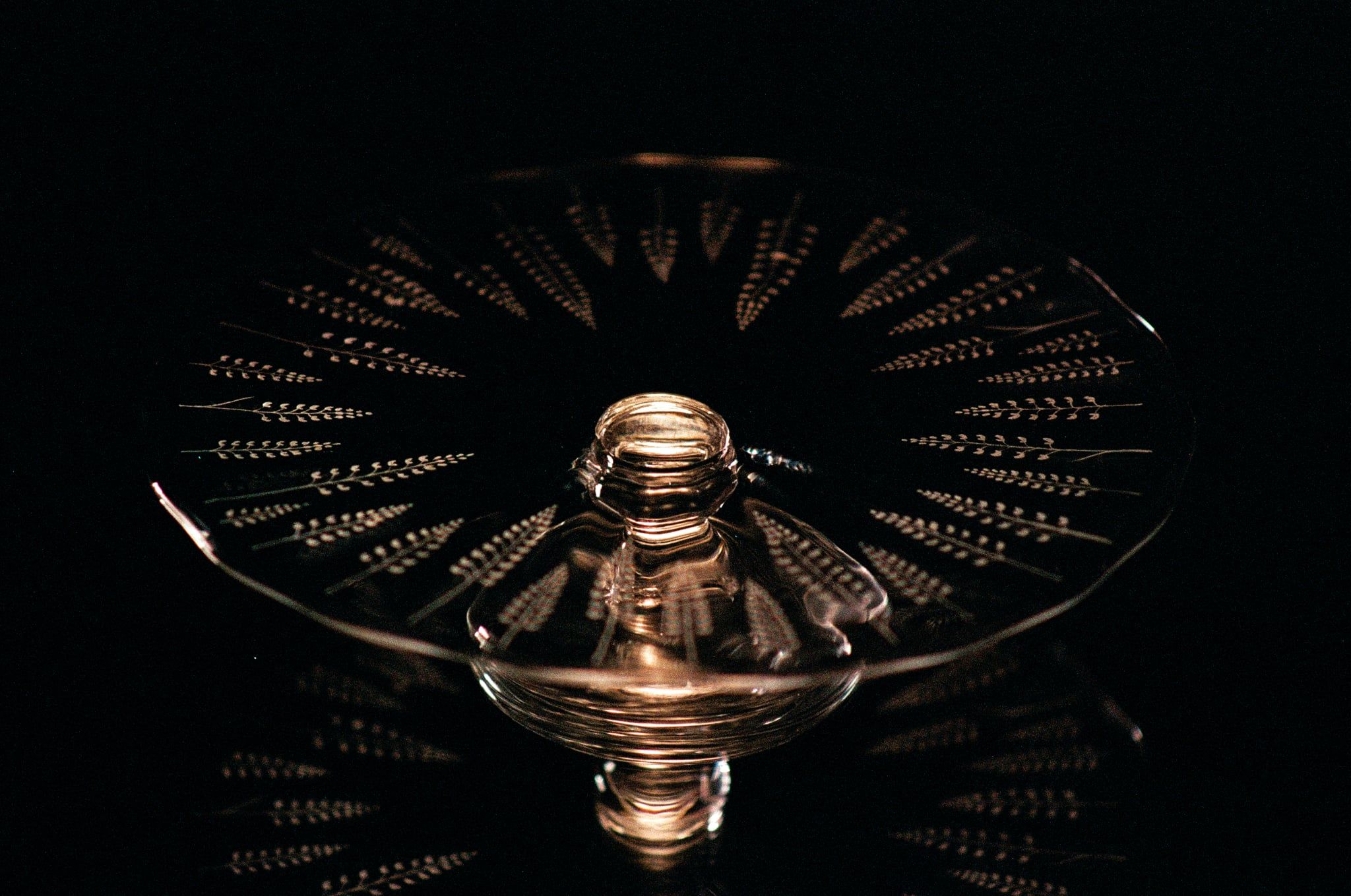 Etched botanical glass dish in golden light